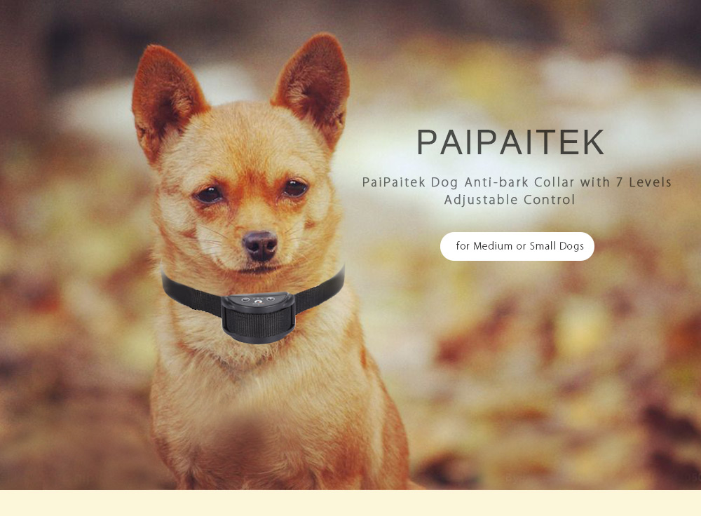 PaiPaitek PD 258 Anti-bark Dog Collar with 7 Levels Adjustable Sensitivity Control for Medium / Small Pets